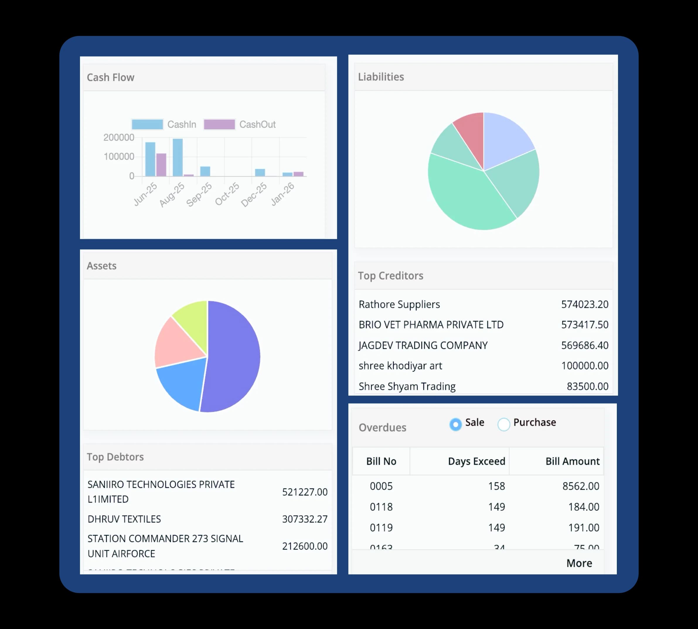 Saniiro Financial Management dashboard with assets, liabilities and day-wise cash flow