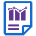 Financial Reporting Framework